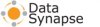 Data Synapse logo